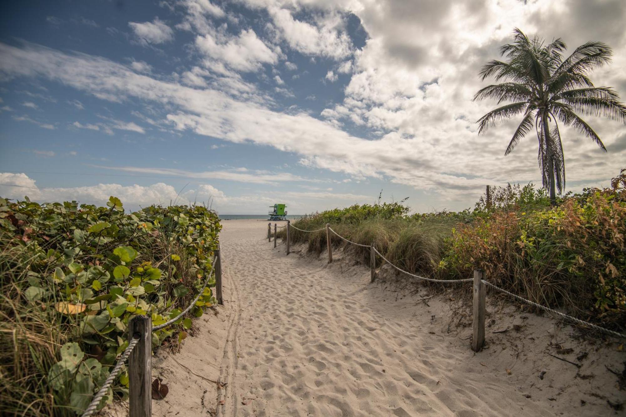Renzzi On The Beach Miami Beach Dış mekan fotoğraf